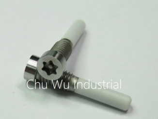 custom made / CD vein / security screw